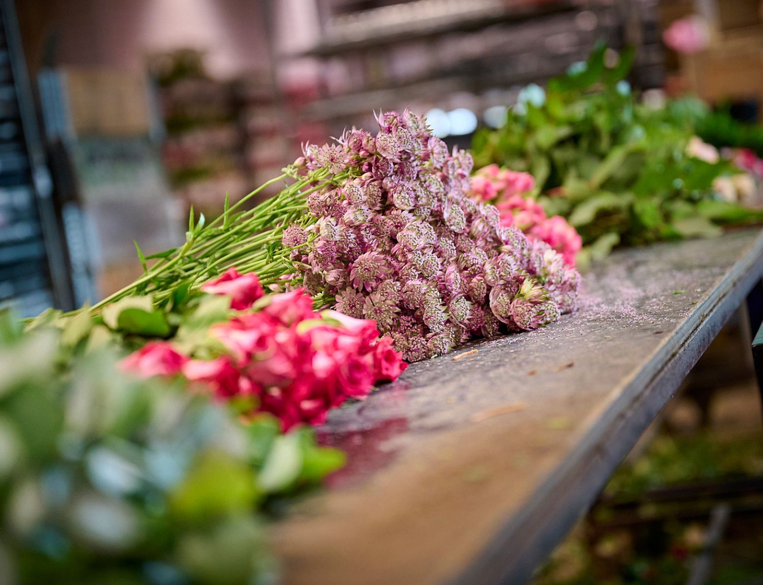 Zami wereldwijd netwerk van kwekers