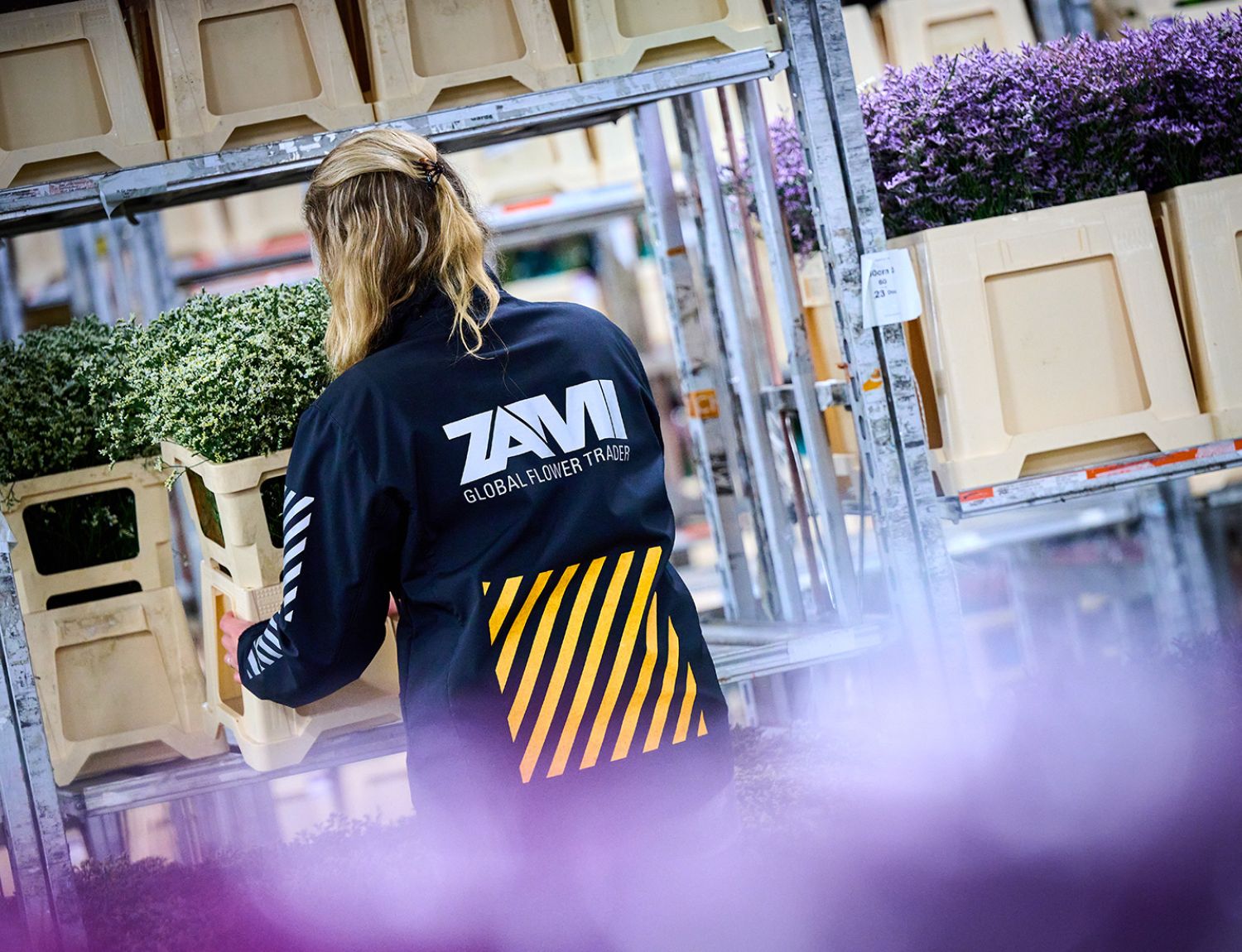 Zami werken bij zami