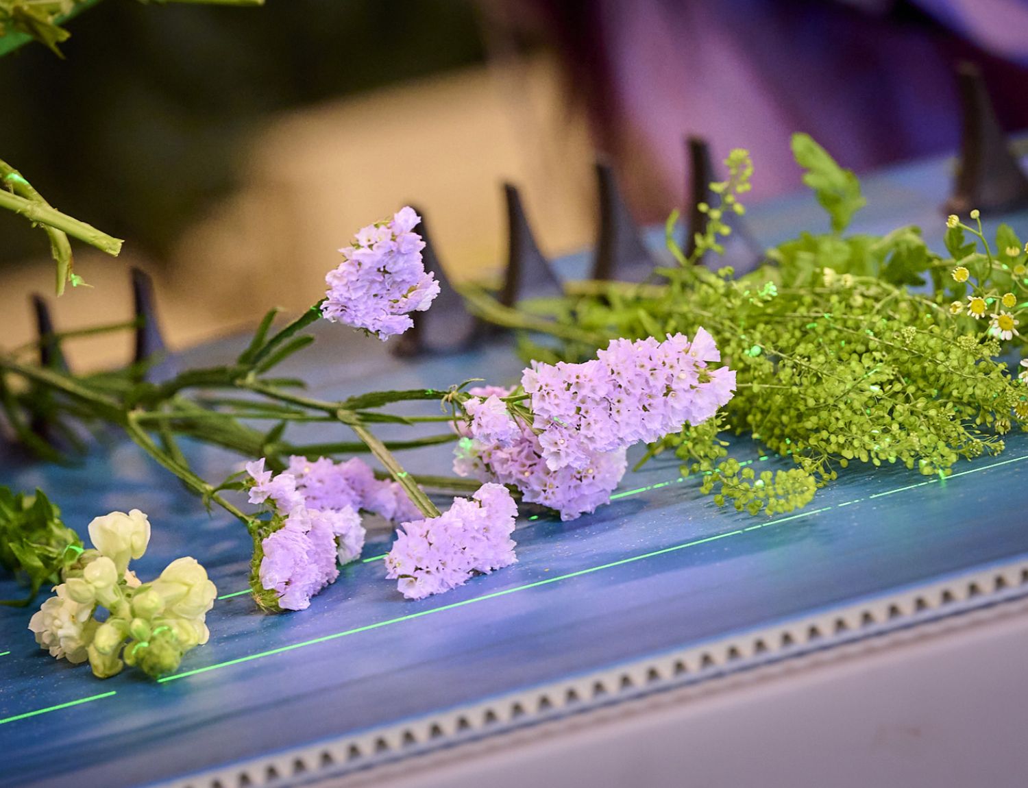 Zami langdurige samenwerkingen