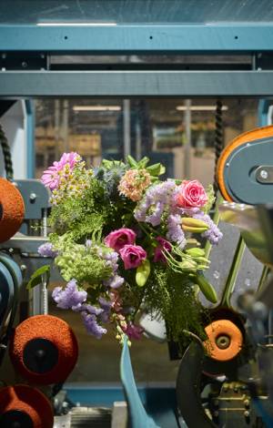 Zami impressie afbeeldingen