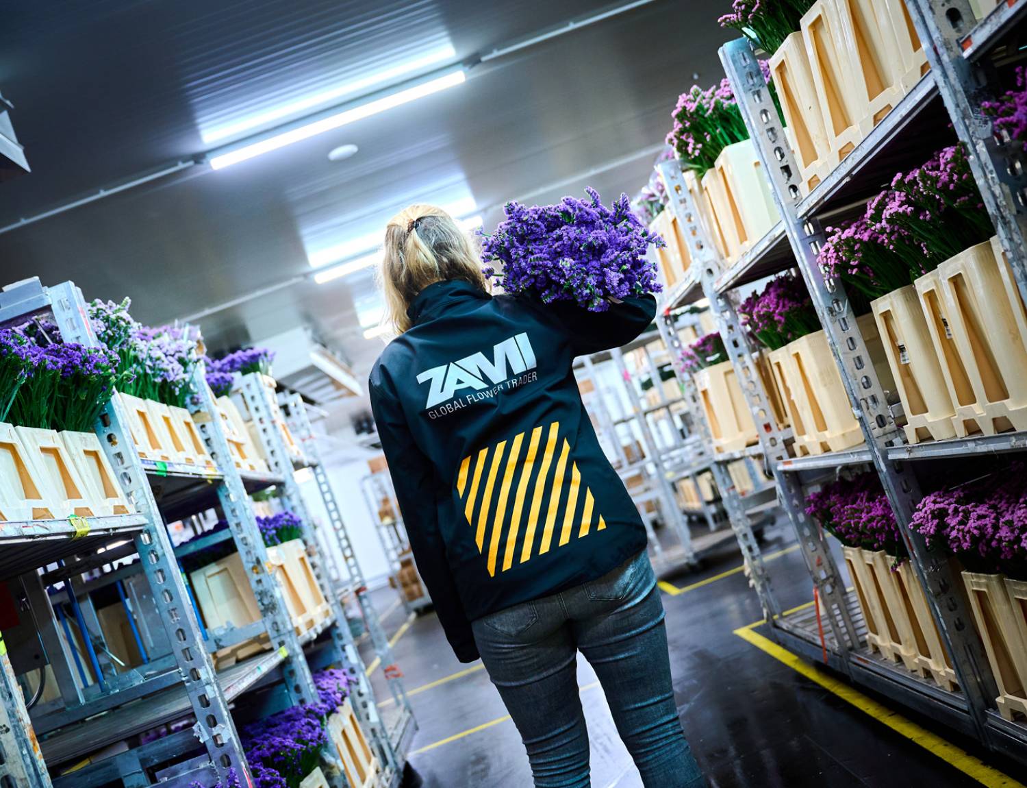 Zami werken bij zami